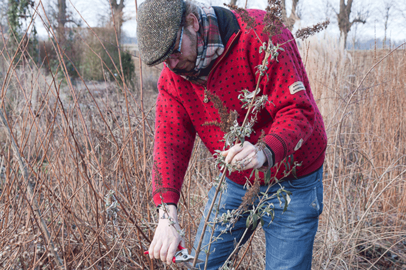 Een man die aan het stekken is
